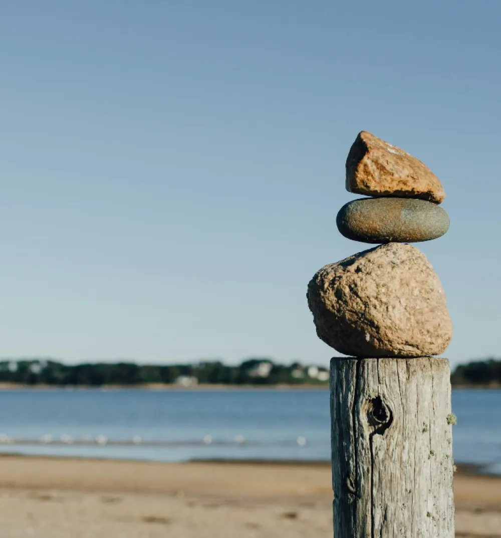 Mental health first aid