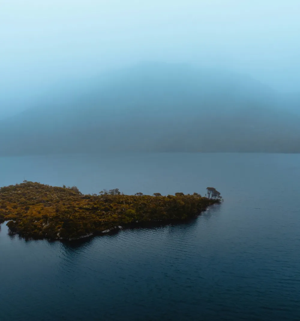 Misty sea