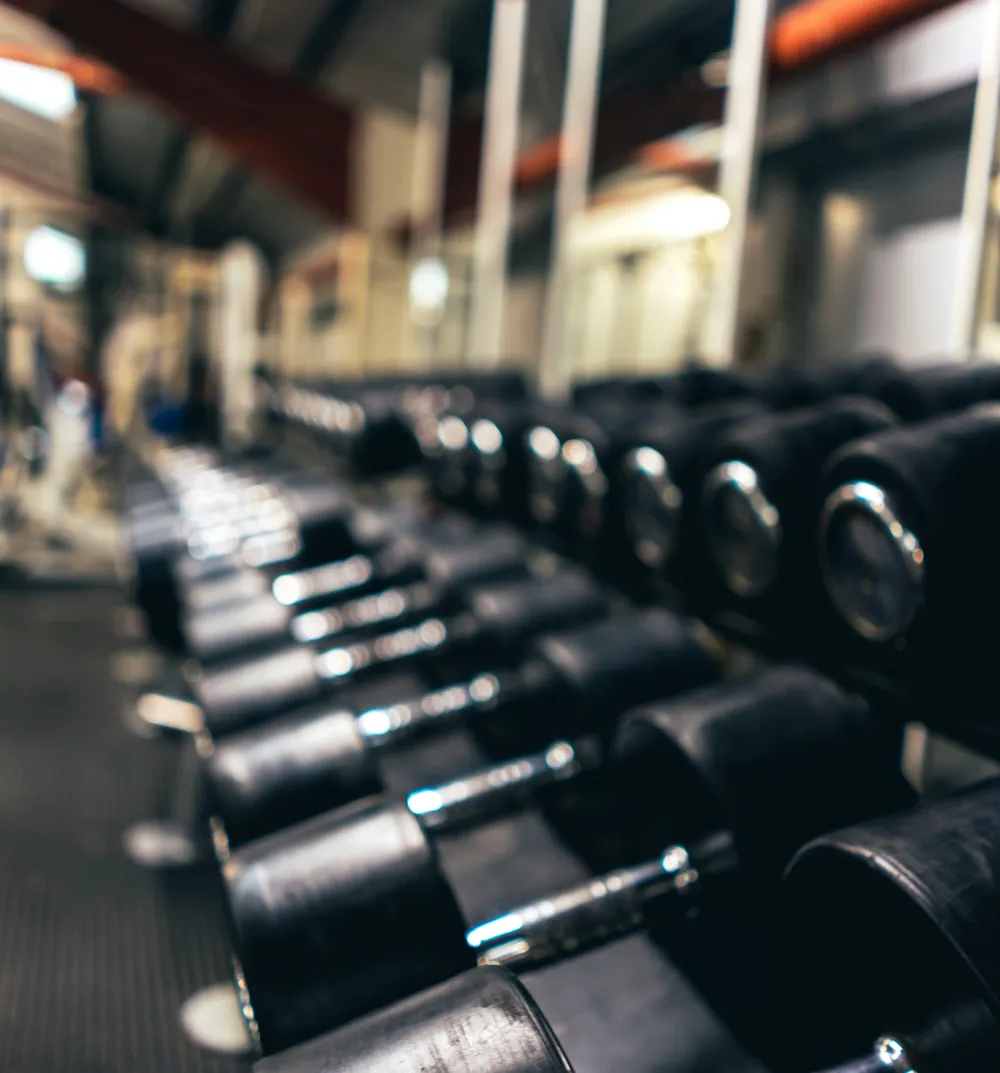 gym weights
