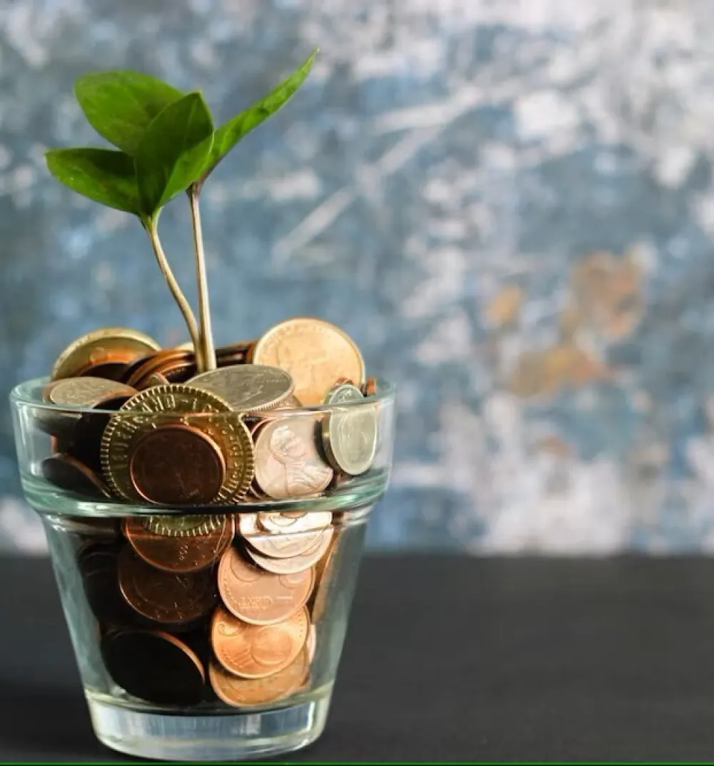 Money in pot