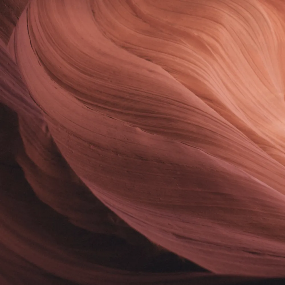 Decorative waves connoting earthiness