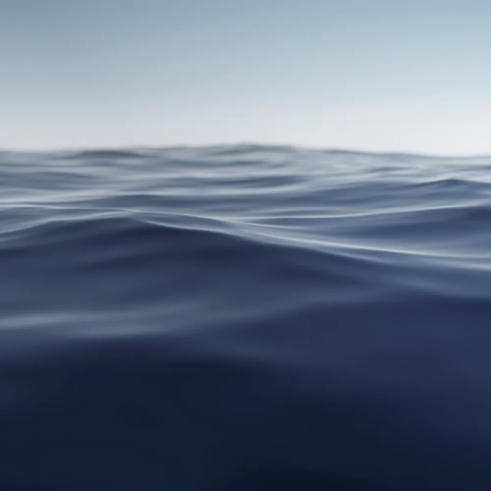 Ocean waves